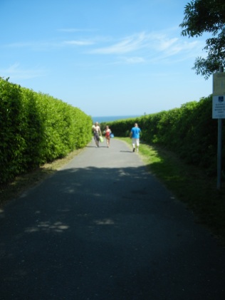 Path leading to the beach.